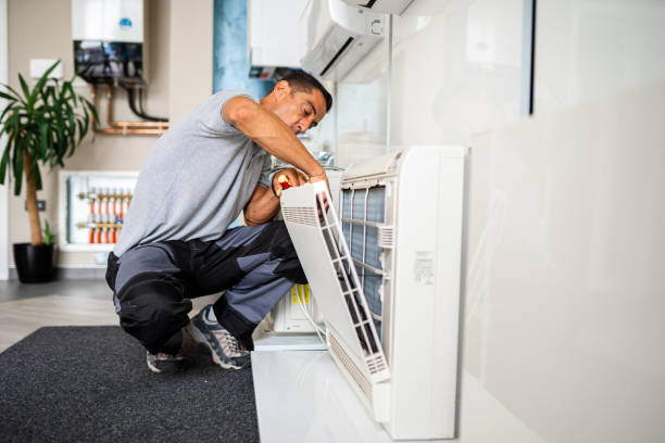 Best Professional Duct Cleaning Services  in Las Lomas, TX
