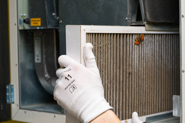 Best Affordable HVAC Duct Cleaning  in Las Lomas, TX