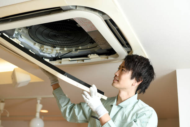 Best Air Duct Cleaning Near Me  in Las Lomas, TX