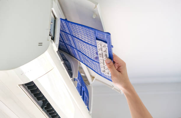Best Affordable Duct Cleaning Services  in Las Lomas, TX