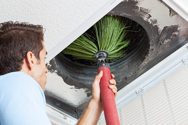 Best HVAC Maintenance and Cleaning  in Las Lomas, TX