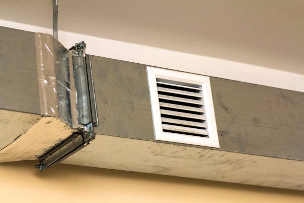 Best Air Duct Cleaning Near Me  in Las Lomas, TX